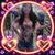 Rita Kepler's profile image