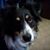 Stella Miller's profile image