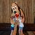 Kerri Marrapese Jenkins's profile image