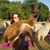 Crystal Pace's profile image