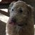 John Rosati's profile image