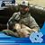 Blane Swanson's profile image