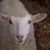 Wendy Hastings's profile image