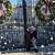 Dawn De Olden Melchoni's profile image