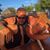 Geraldine Ocana Figueroa's profile image