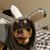 Monica Mew's profile image