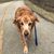 Jackie Kapcheck's profile image