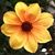 Karin Yospe's profile image