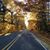 Connie Bowerman's profile image