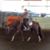 Letitia Canty's profile image