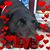 DeeDee Pelnar's profile image
