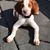 Pam Kolling's profile image