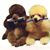 Bev Rasmussen's profile image