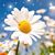 Michelle Shappie's profile image