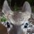 Mary Fincik's profile image