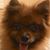 Marilyn Brown's profile image