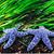 Susan Armstrong's profile image