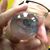 Robert Young's profile image