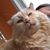 Phil Straub's profile image