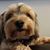 Michelle Ann Welch's profile image