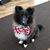 Maureen S Boulanger's profile image