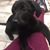 Brenda Rogers Holt's profile image