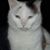 Sandra Randol's profile image