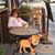 Barbara P. Rovizzi's profile image