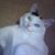 Ginny Eby's profile image