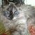 Claudia C. Davis's profile image