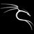 Katrina Ward's profile image