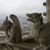 Linda Ann Hall's profile image