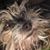 Sharon Coordes's profile image