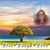 April Shepherd's profile image