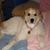 Teresa Parsons DeVictoria's profile image