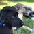 Sordi D NA's profile image