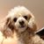 Lynda Krieger Moses's profile image