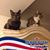 Debbie Kerr's profile image