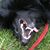 Kathie Stahl's profile image