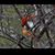 Linda Cole's profile image