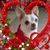 Melissa Espinoza-Smart's profile image