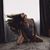 Signa Gustafson Byrket's profile image