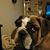 Mike Mabe's profile image