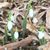 Sharon Davis Carroll's profile image