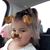 Dena Larsen's profile image