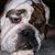 Shelly Tarbell Mena's profile image