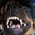 Melinda Baum's profile image