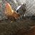 Jose Alonso Briseno's profile image