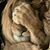 Warren Mells's profile image