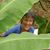 Valerie Lindstrom's profile image